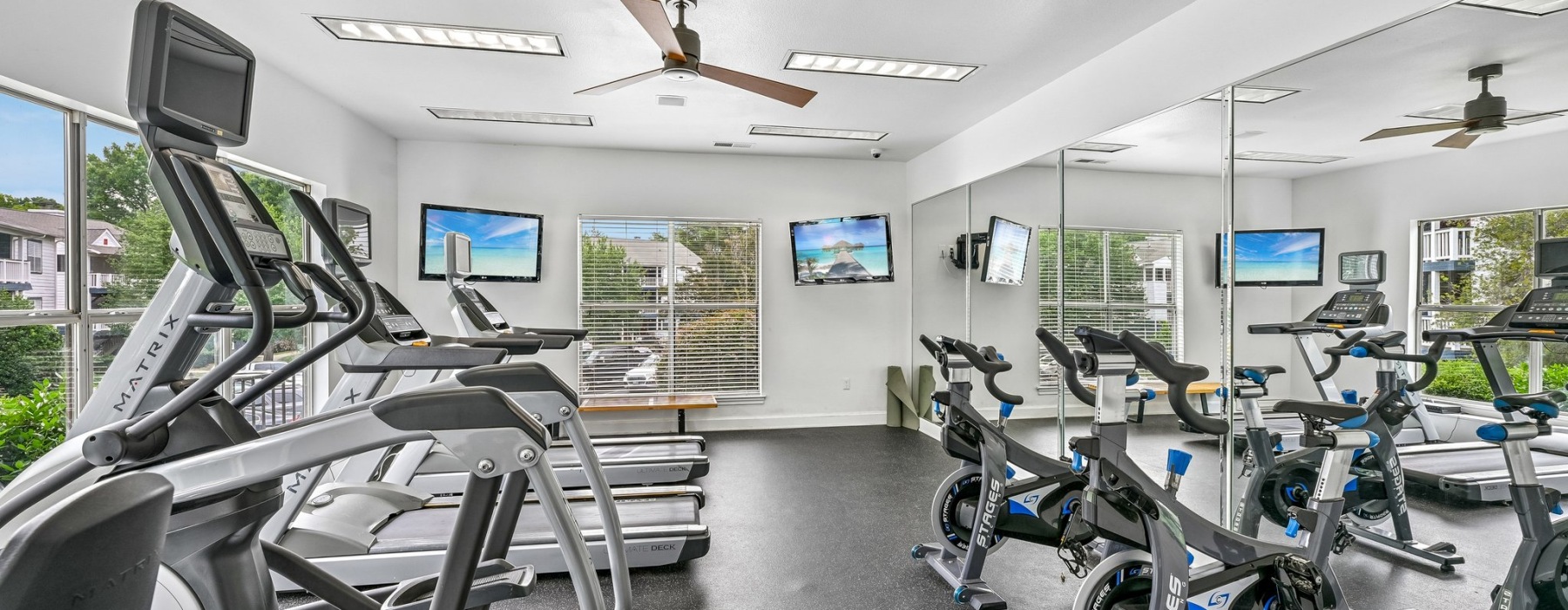Gym with workout machines